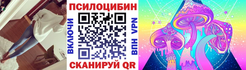 Галлюциногенные грибы Psilocybine cubensis  Новокубанск 