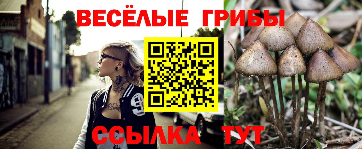 Псилоцибиновые грибы ЛСД Новокубанск